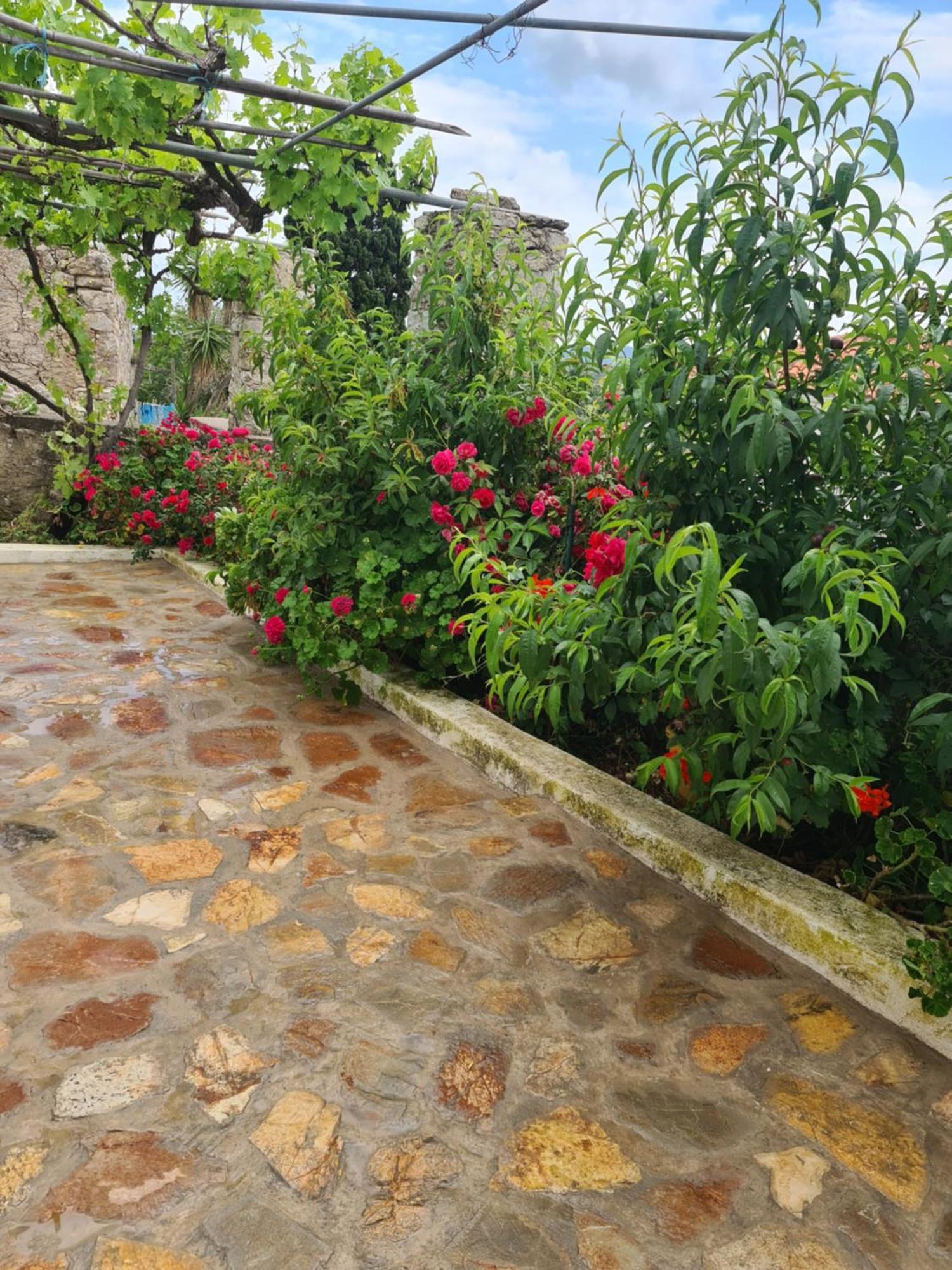 Kamaraki Grande Aroniadika Apartment Kýthira Екстериор снимка